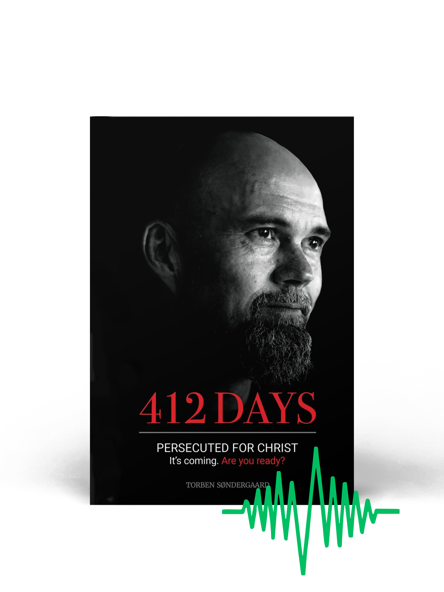 412 days audio book